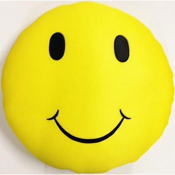 Main Access Seaside Rider Happy Smiley Face Floating Stuffed Pillow  305594