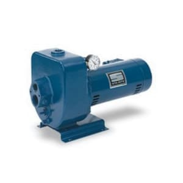 1-1/2 hp 115/230 V 15.9 gpm Multi-Stage HMS Jet/Centrifugal Pump